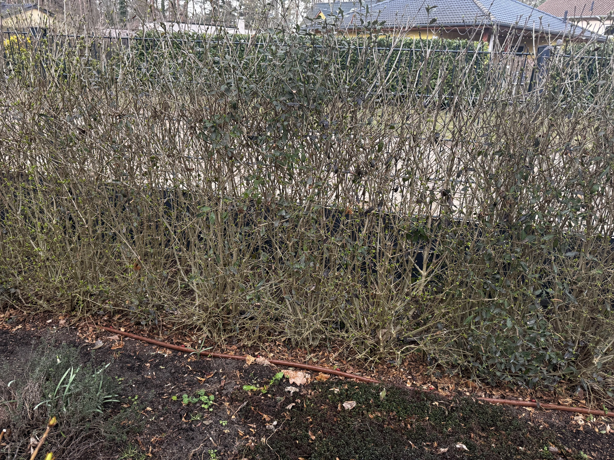 IMG_8982.webp