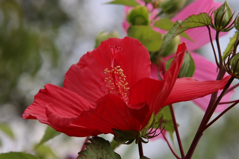 IMG_9065.webp