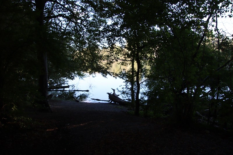 IMG_9089.webp
