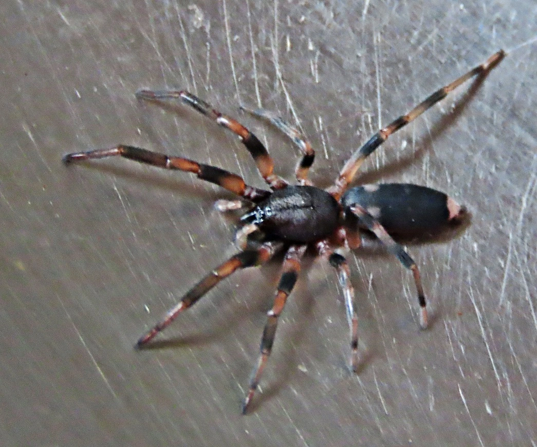 IMG_9259btv (2).webp