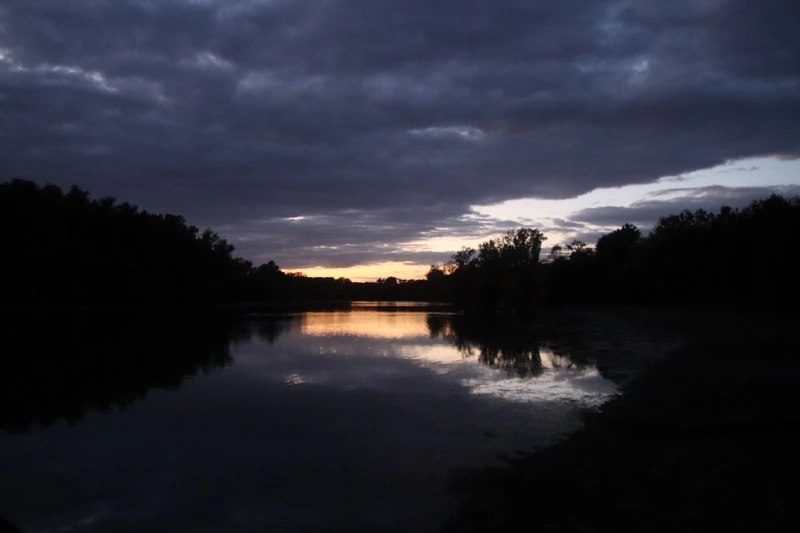 IMG_9333.webp