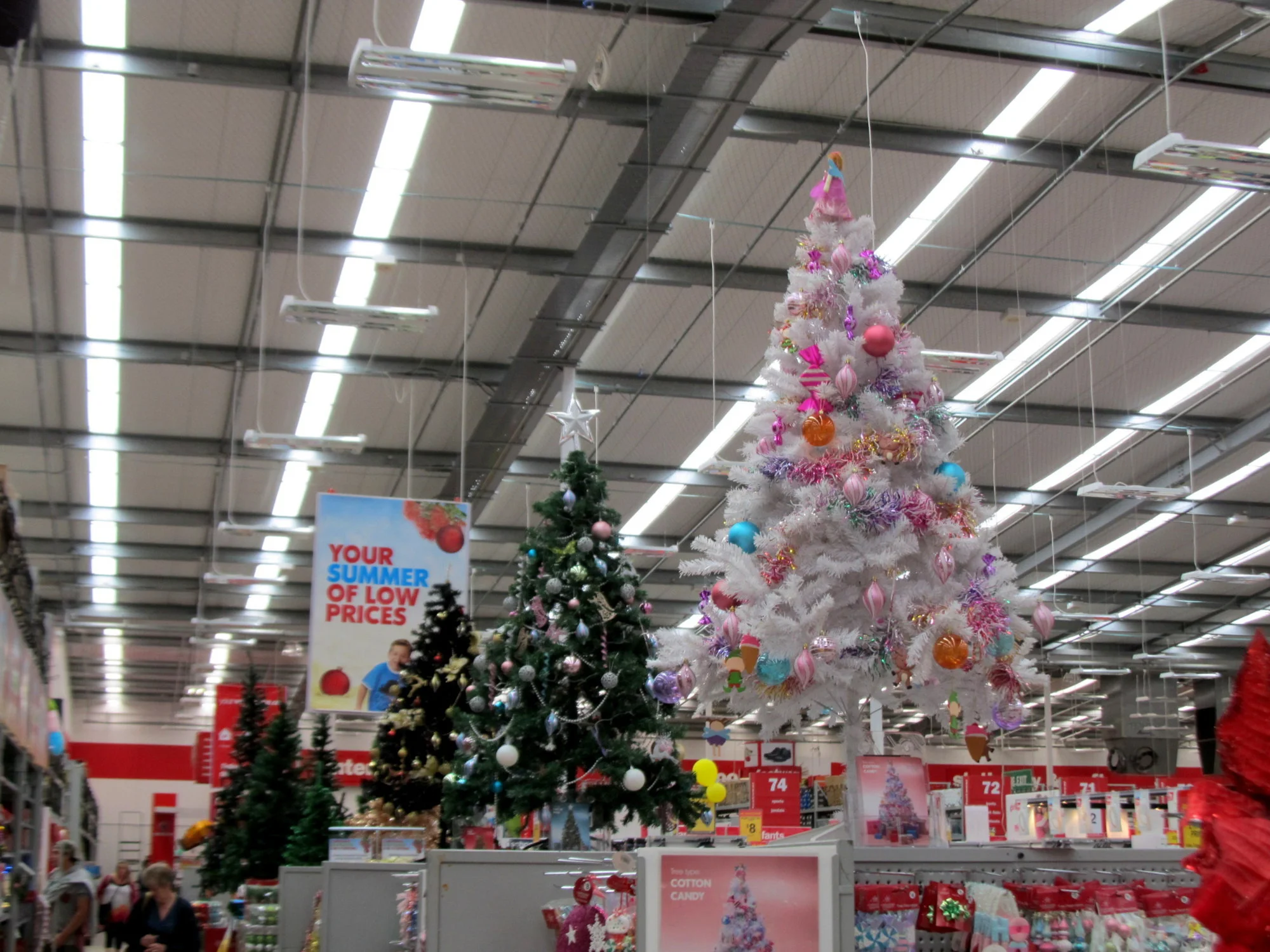 IMG_9769v.webp