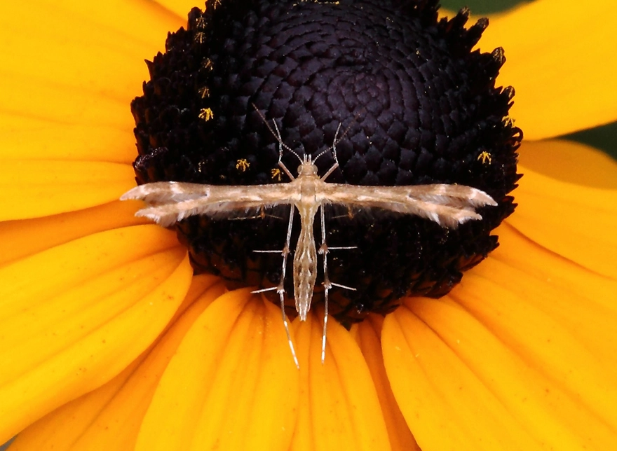 IMG_9793-(2).webp