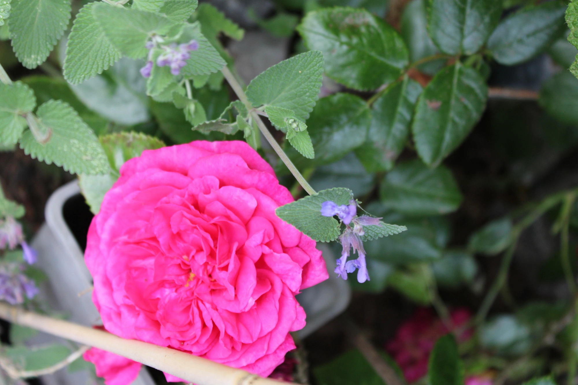 IMG_9958.webp