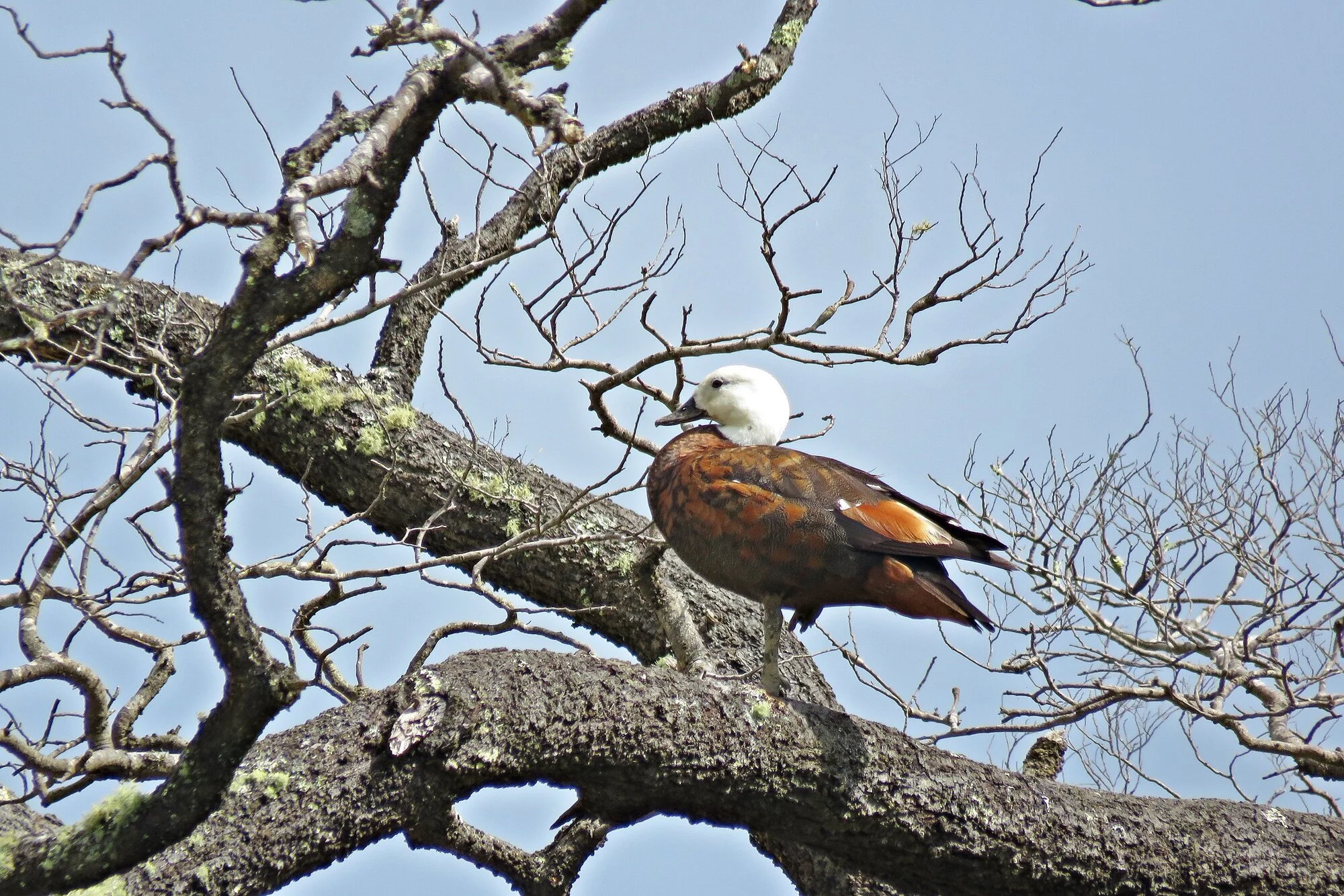 IMG_9971 v (2).webp