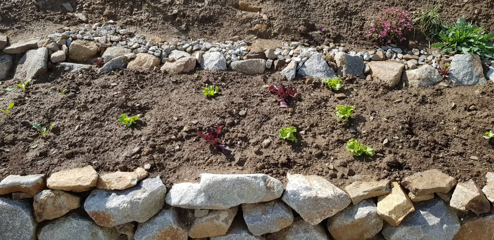 Integriertes Hochbeet_03.05.2020.jpg