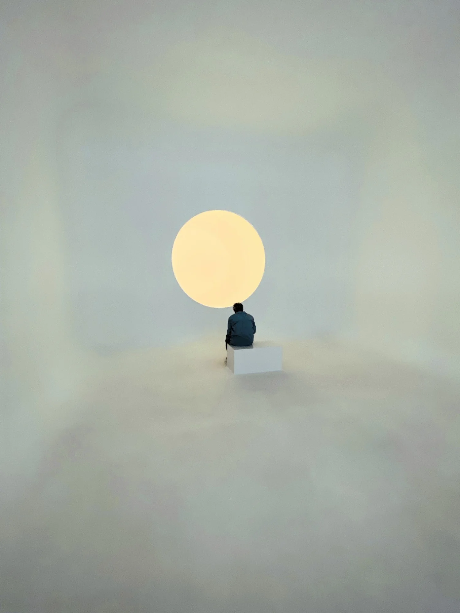 James Tyrell.webp