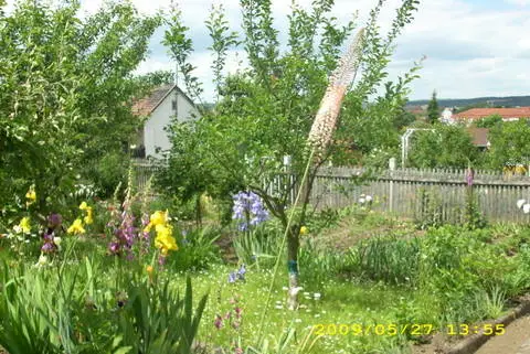 Mein Hausgarten