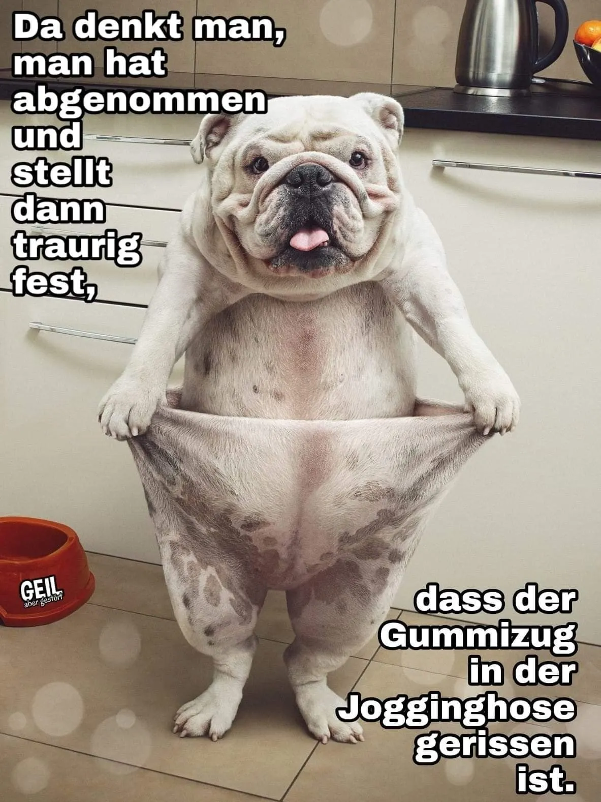 Jogginghose.webp