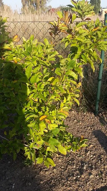 k-20181016_161611.webp