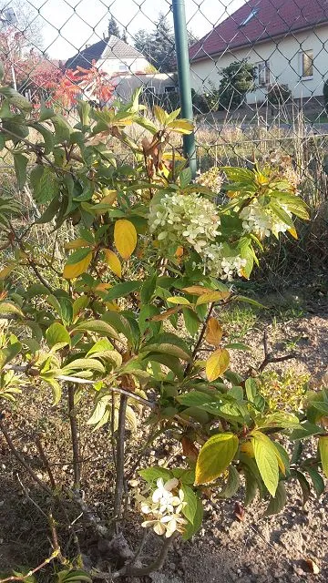 k-20181016_161651.webp