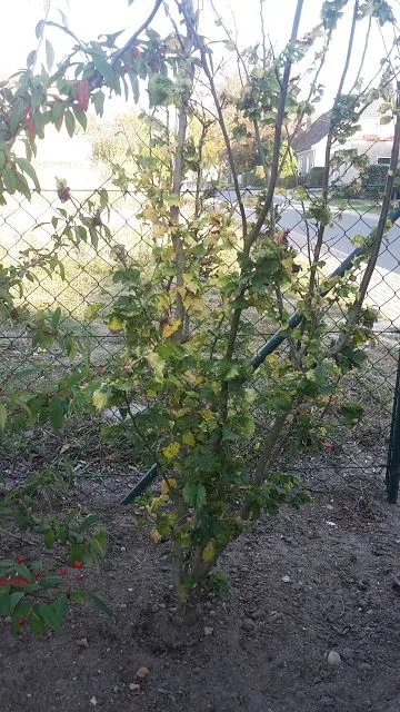 k-20181016_161731.webp