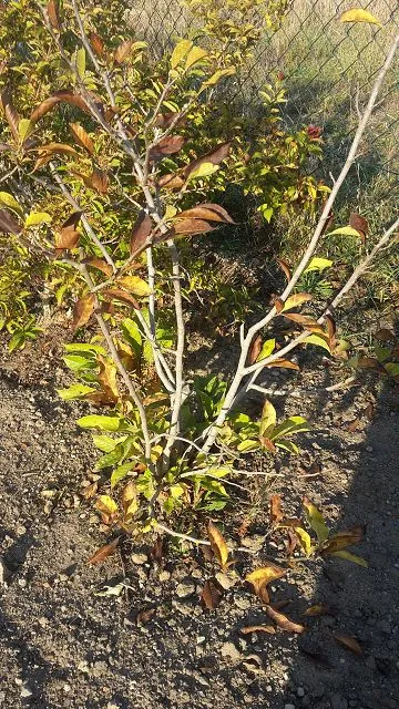 k-20181016_161748.webp
