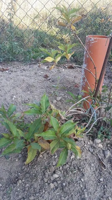 k-20181016_161807.webp