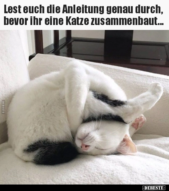 Katze_zusammenbau.webp