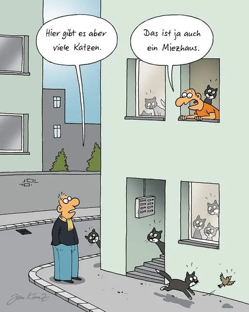Katzen.webp