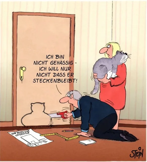 Katzentür_Humor.webp
