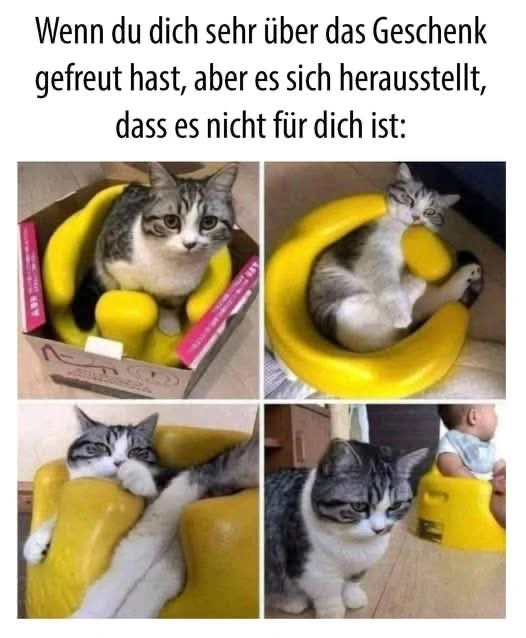 Kinderklo.webp