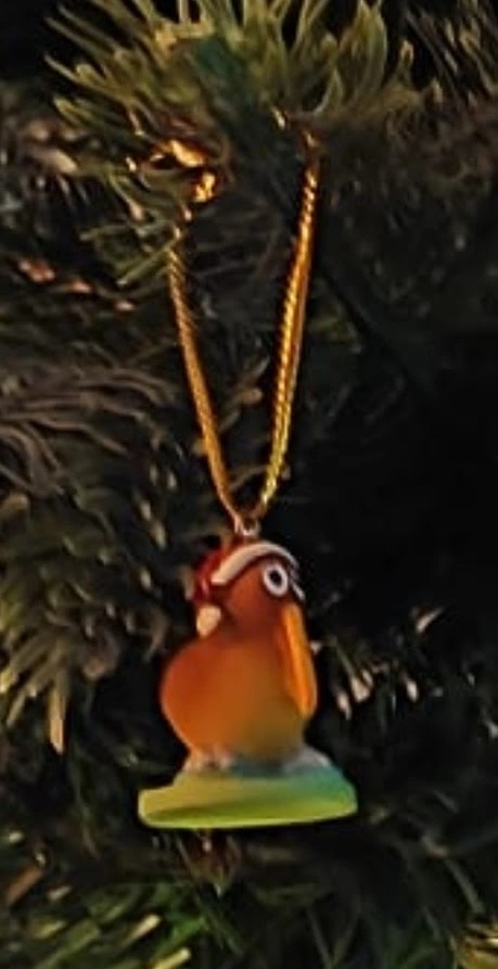 kiwi.jpg