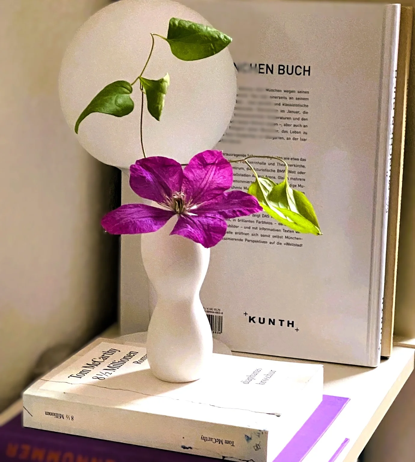 Klematis November.webp