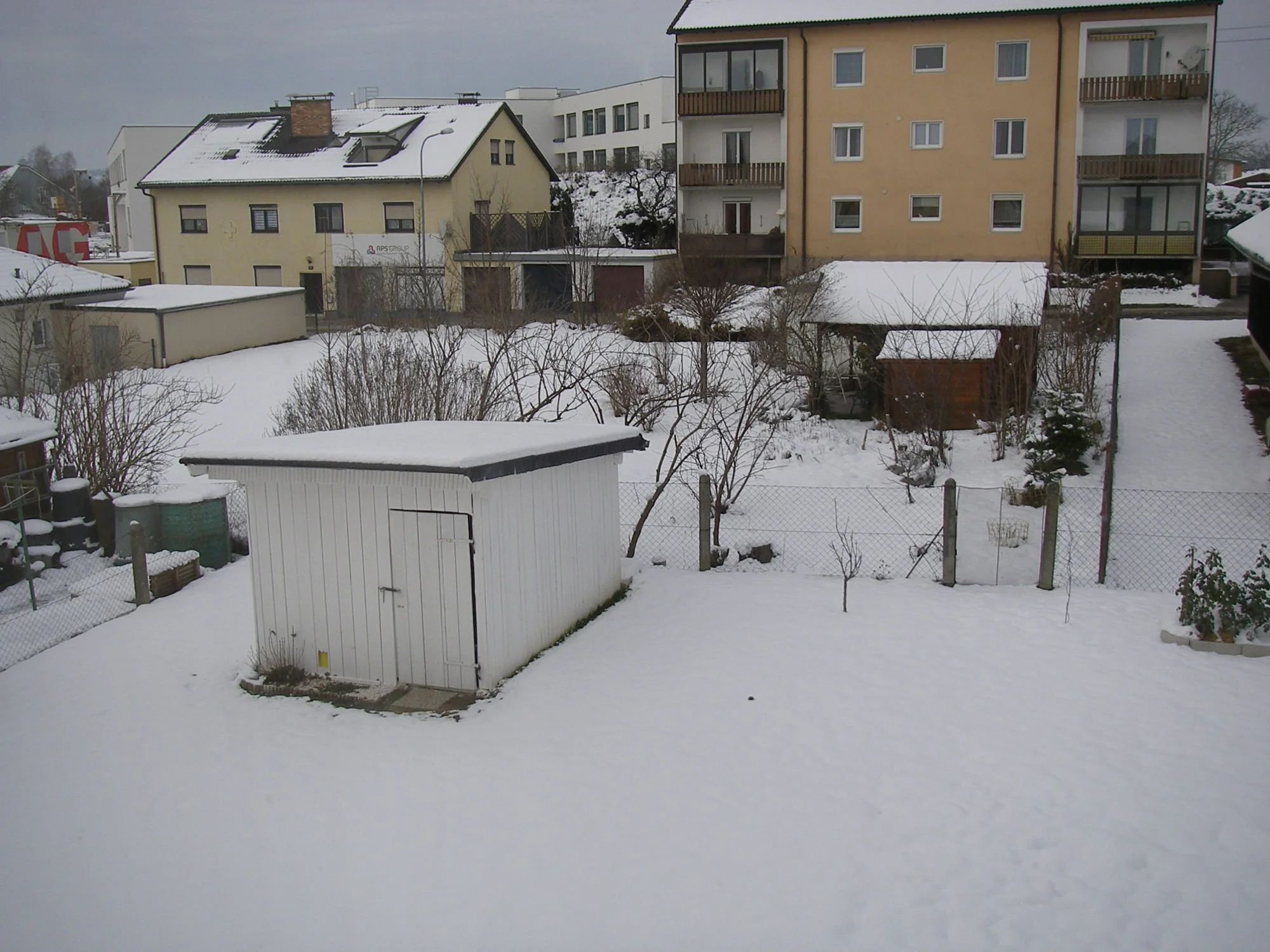 Kopfweide (2).webp