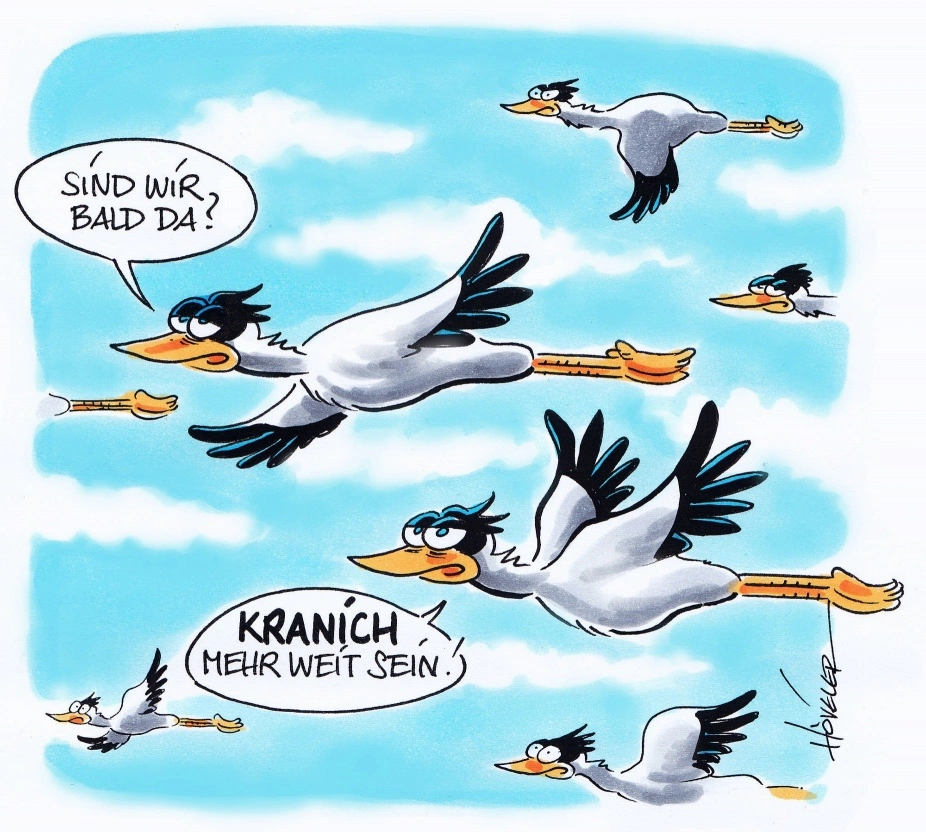 Kraniche unter sich.webp