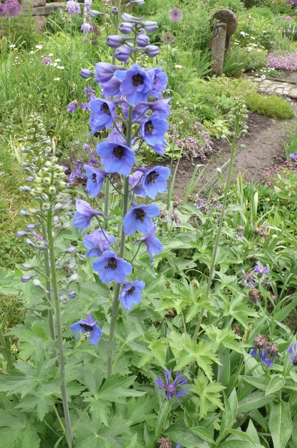 L1080018.webp