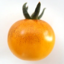 Letnee Solntse 2.webp