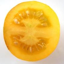 Letnee Solntse 4.webp