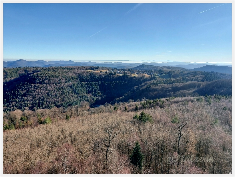 Luitpoldsturm 12 2.webp