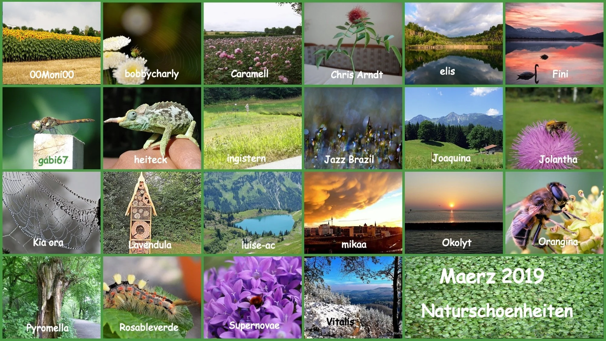Maerz 2019 Naturschoenheiten  v.webp