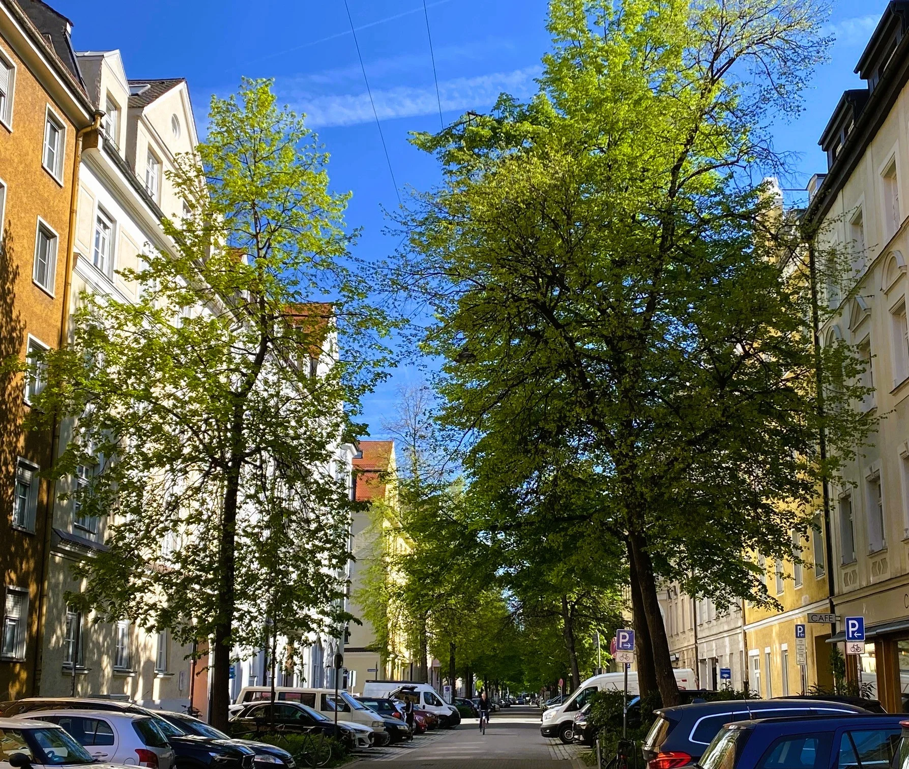 Maxvorstadt 1.webp