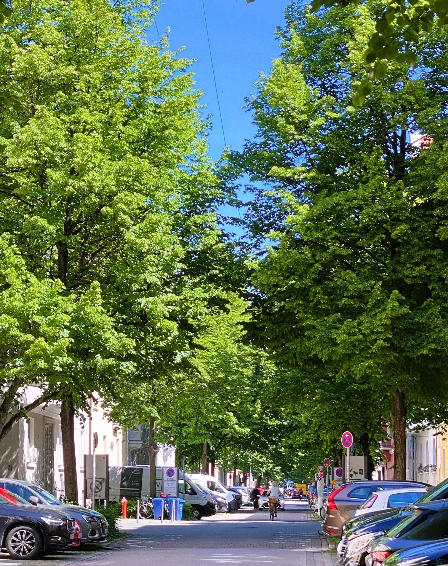Maxvorstadt2.webp