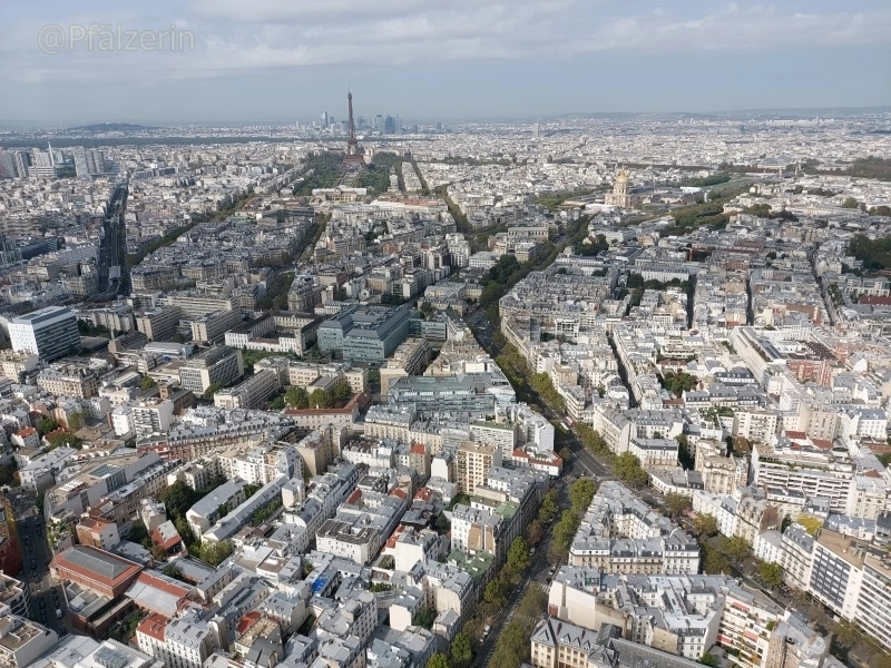 Montparnasse 5.webp