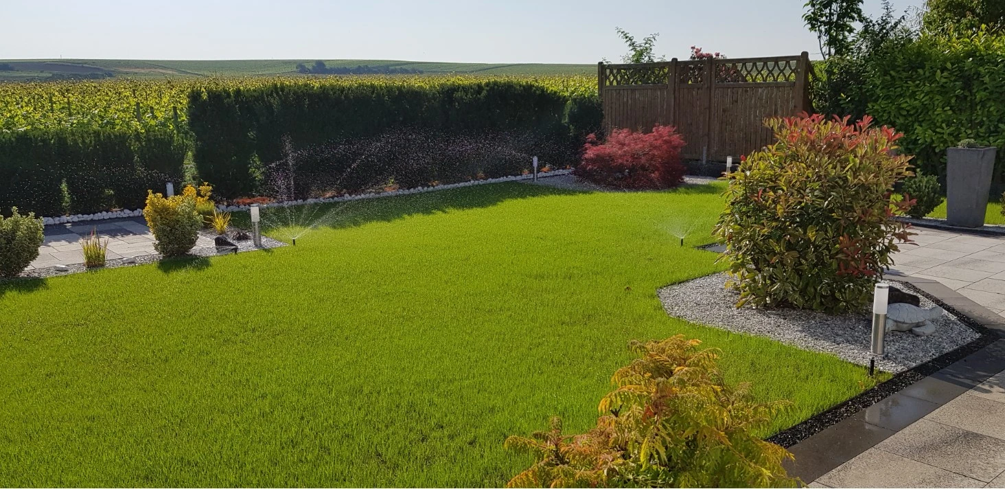 Neuanlage_Rasen.webp