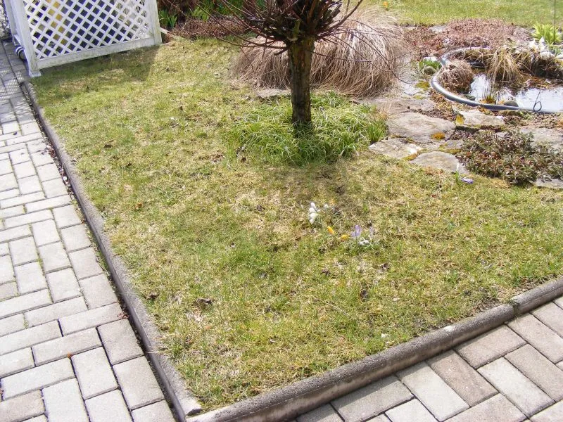 Neues Beet für 2 Rosen anlegen