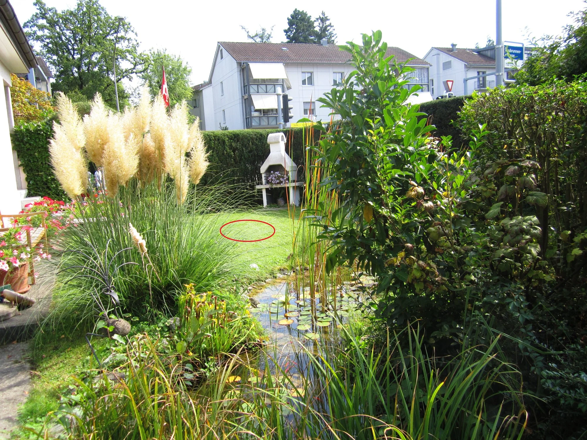 Nussbaum_Standort.webp