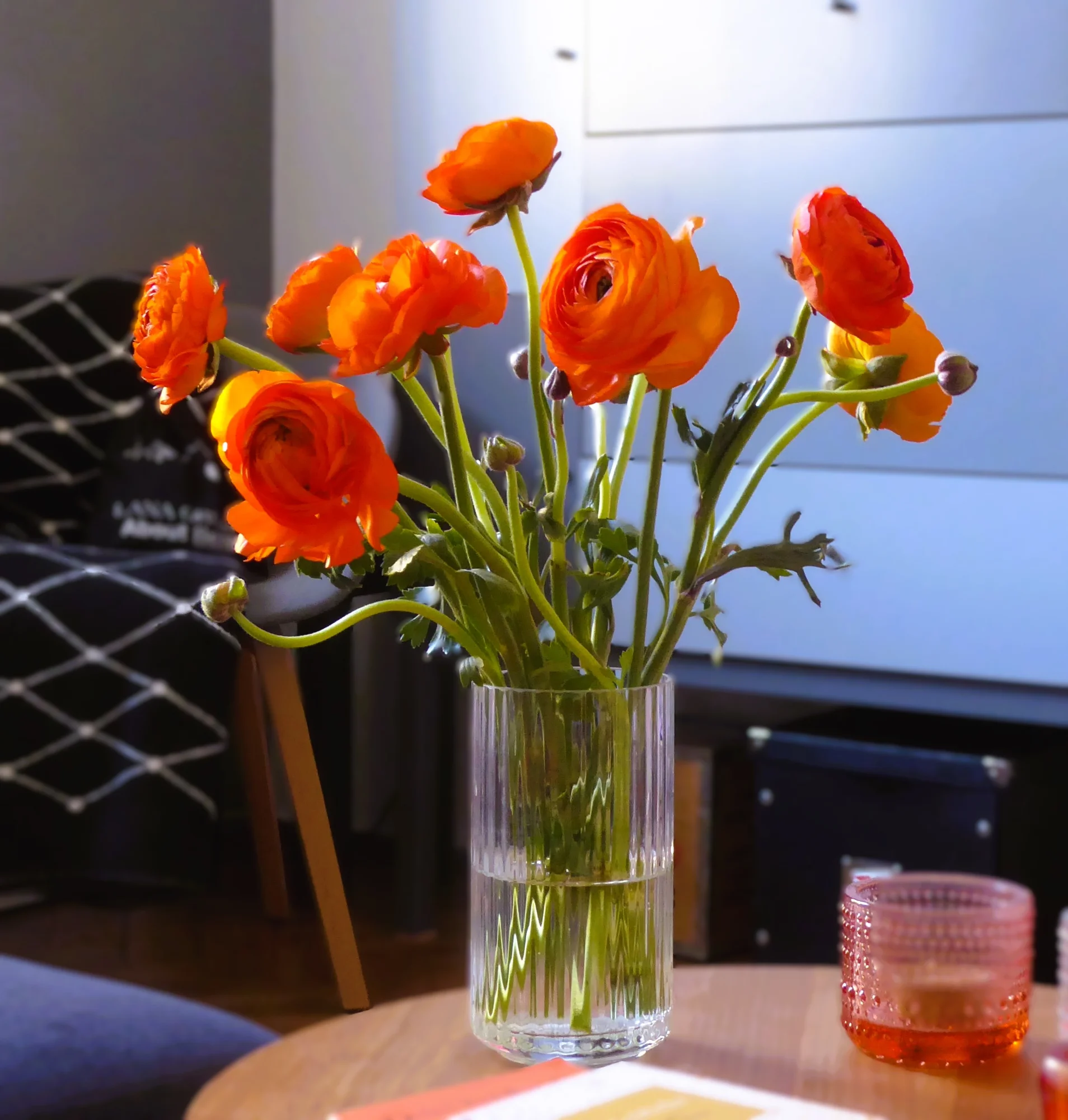Orange1.webp