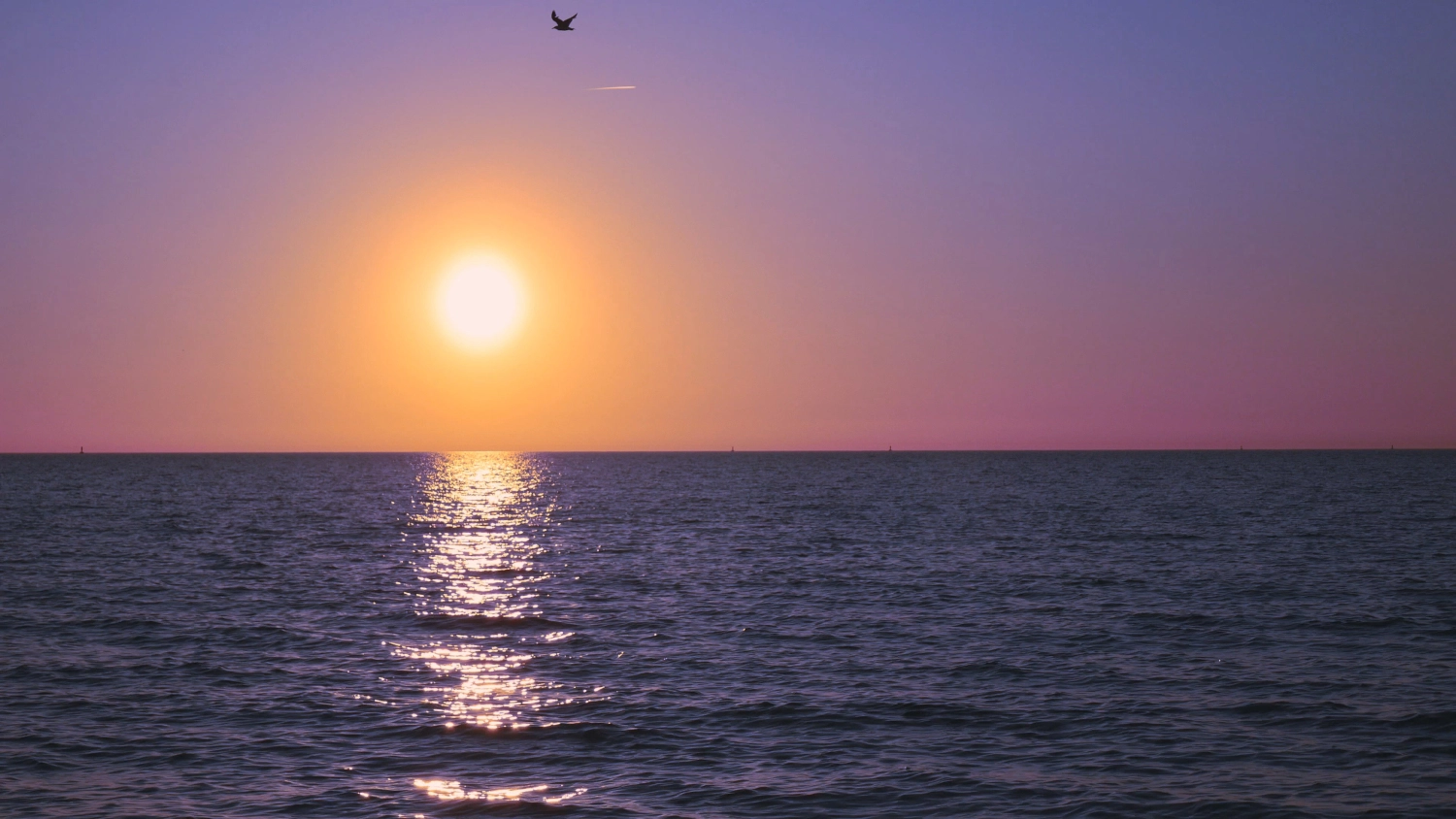 ostsee.4.webp