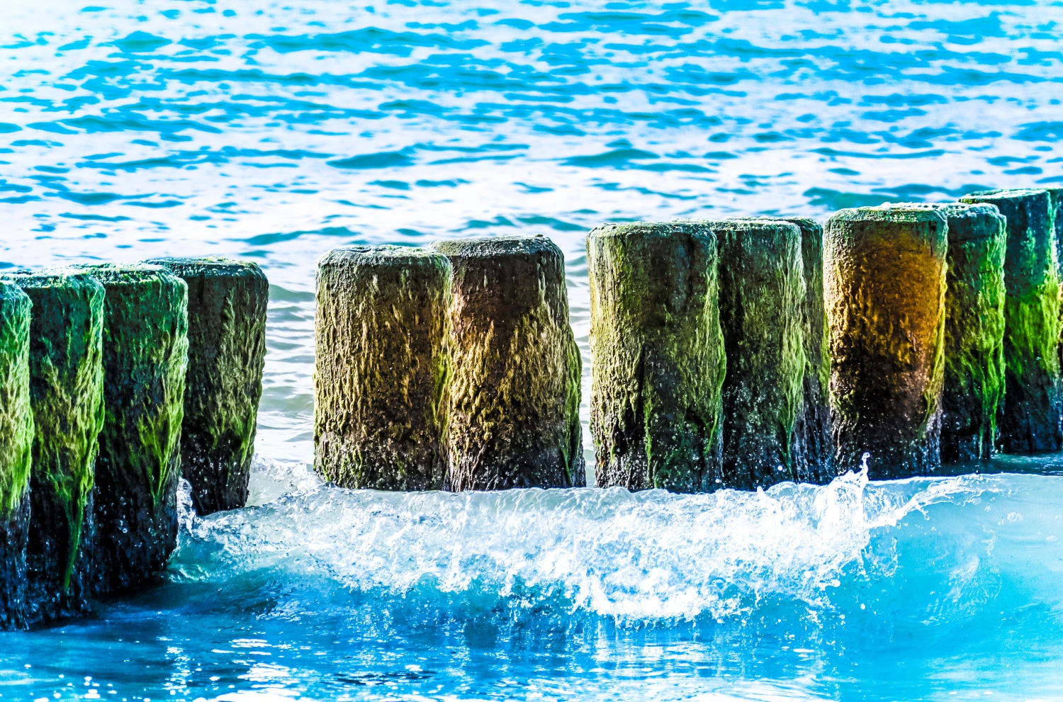 ostsee.webp