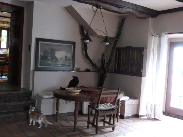 P1000510 (2).JPG