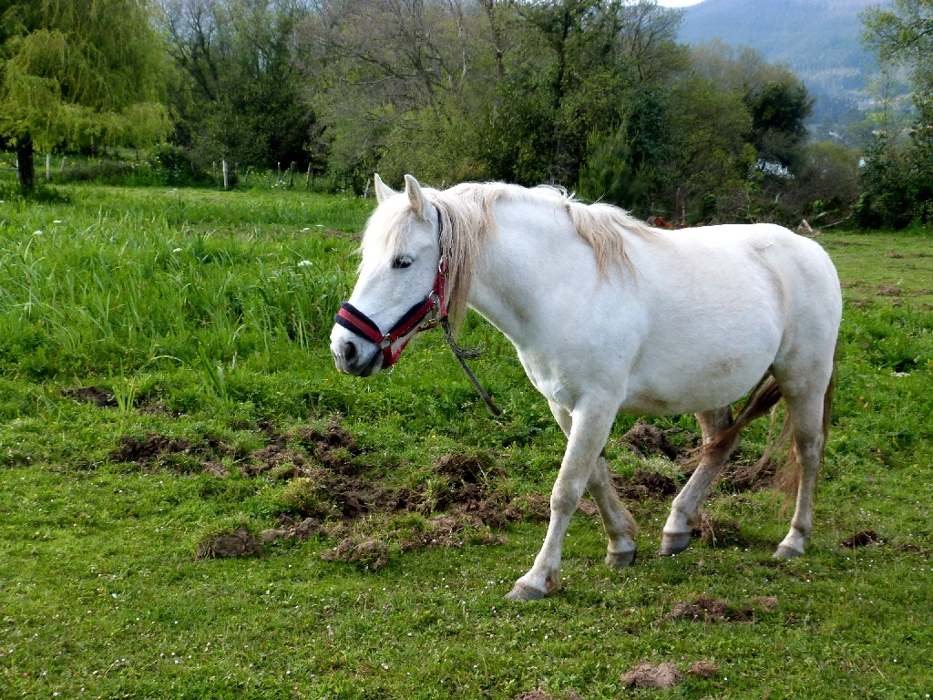 P1020125.webp