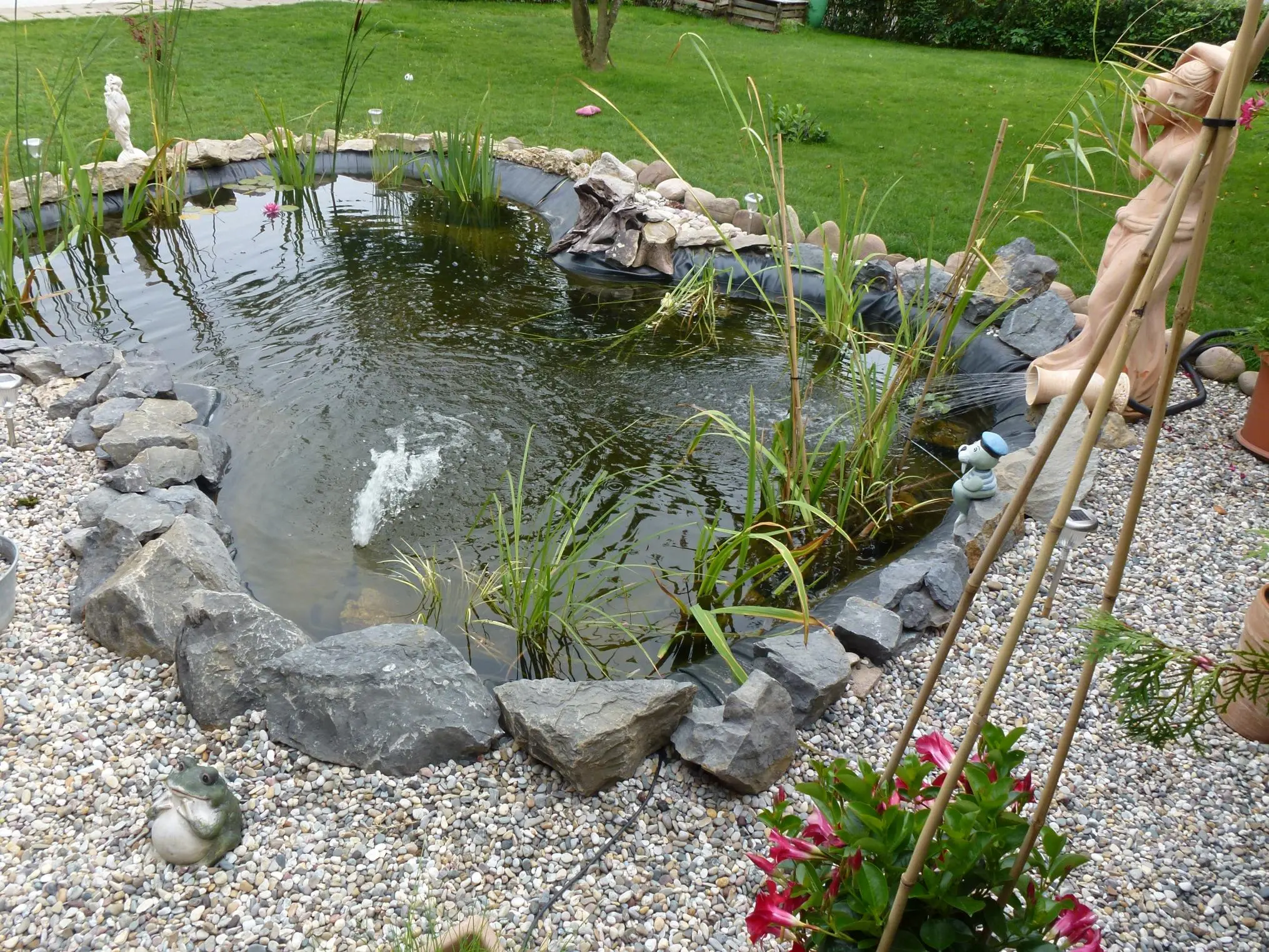 Gartenteich ist grün und trüb