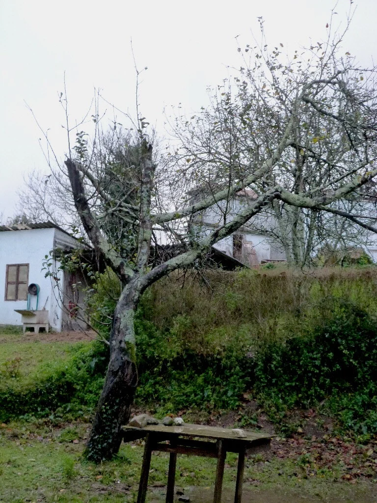 P1020209.webp