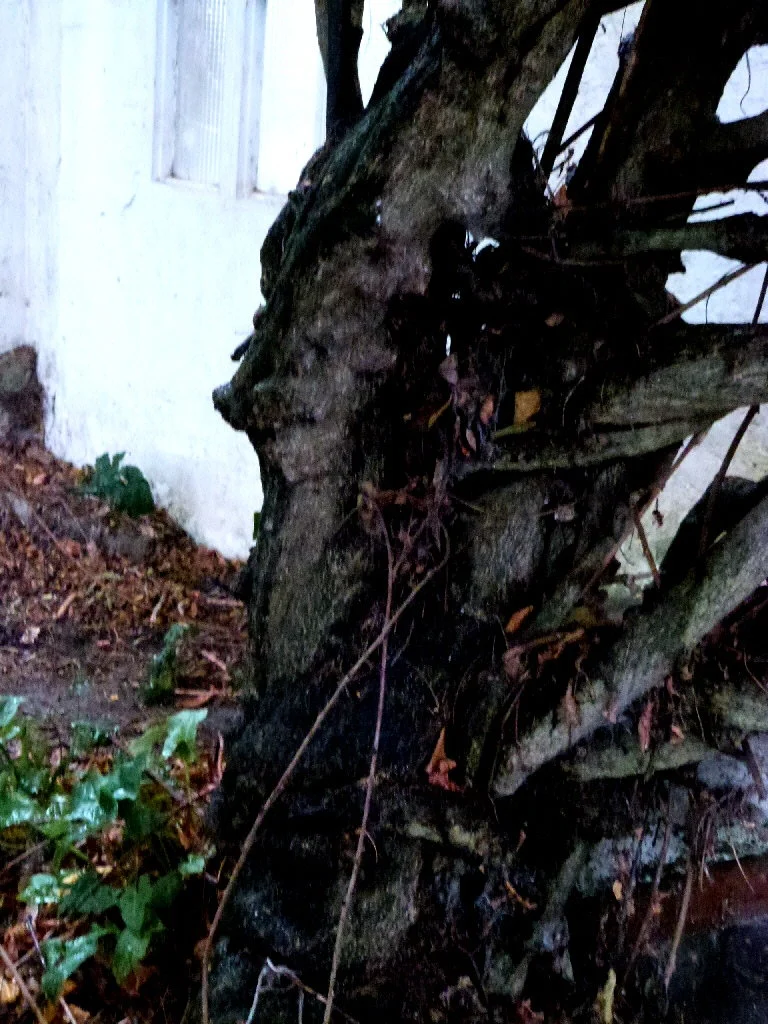 P1020211.webp