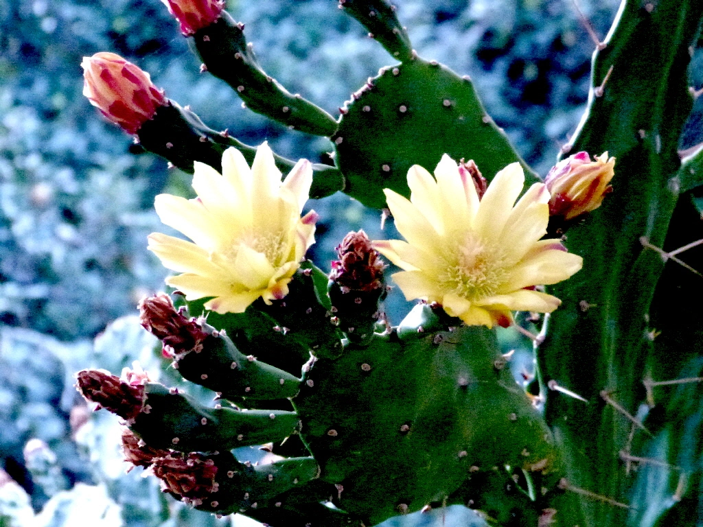 P1020265.JPG