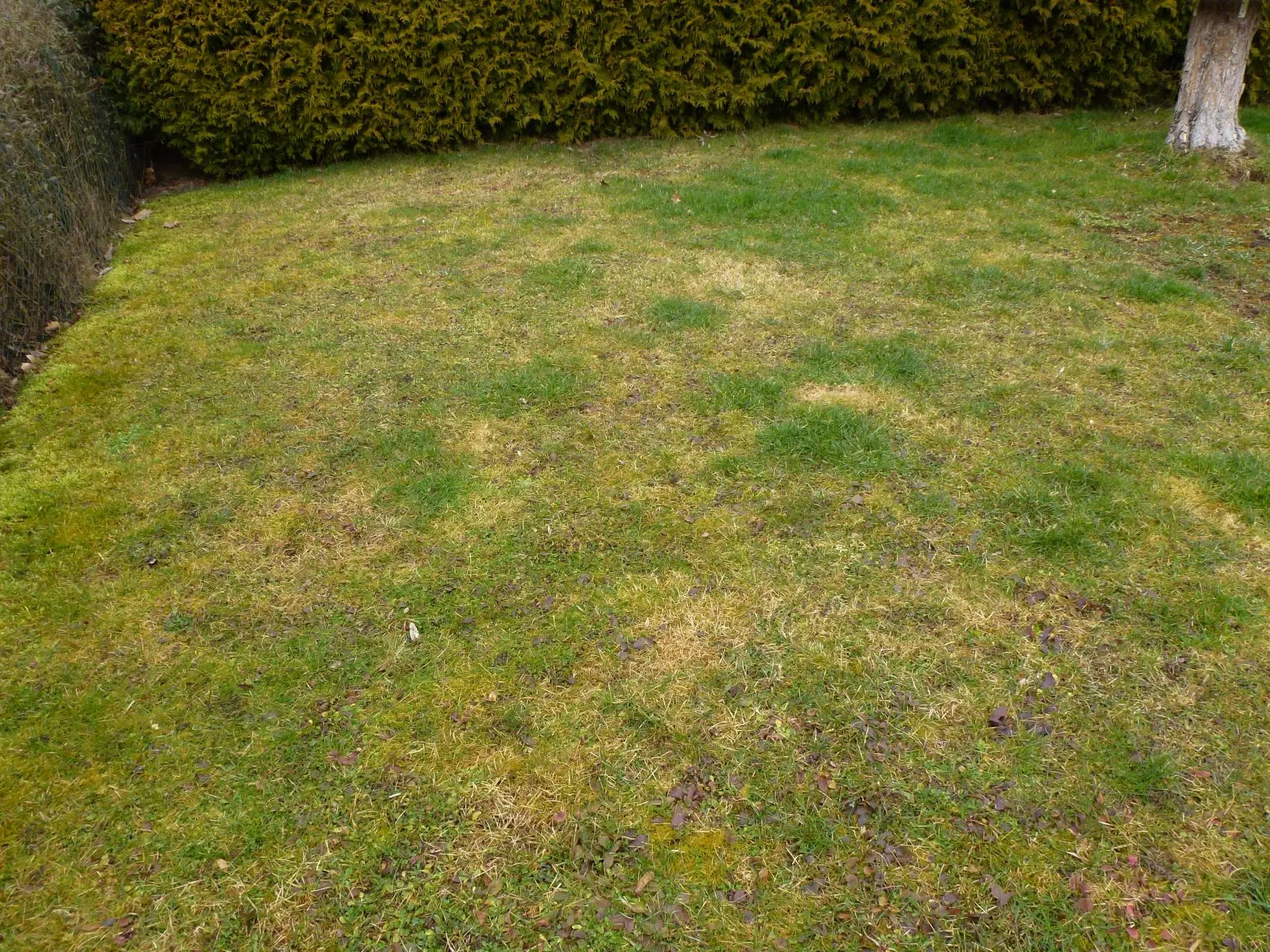 schafwolle kaufen dünger Biodünger Premium | deutsche Schafwolle in Pellets main image 1