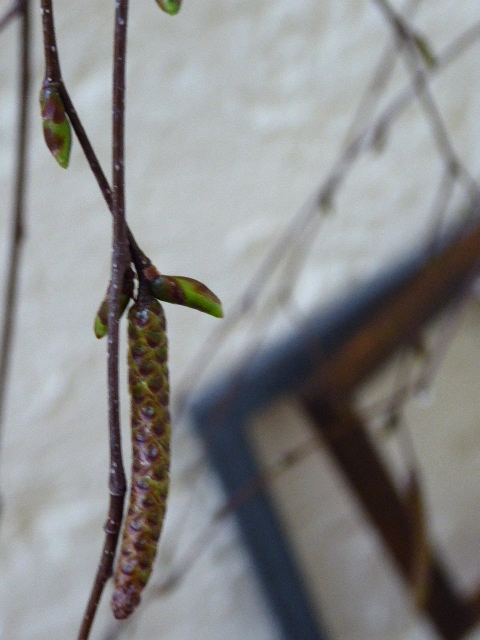 P1050342.webp