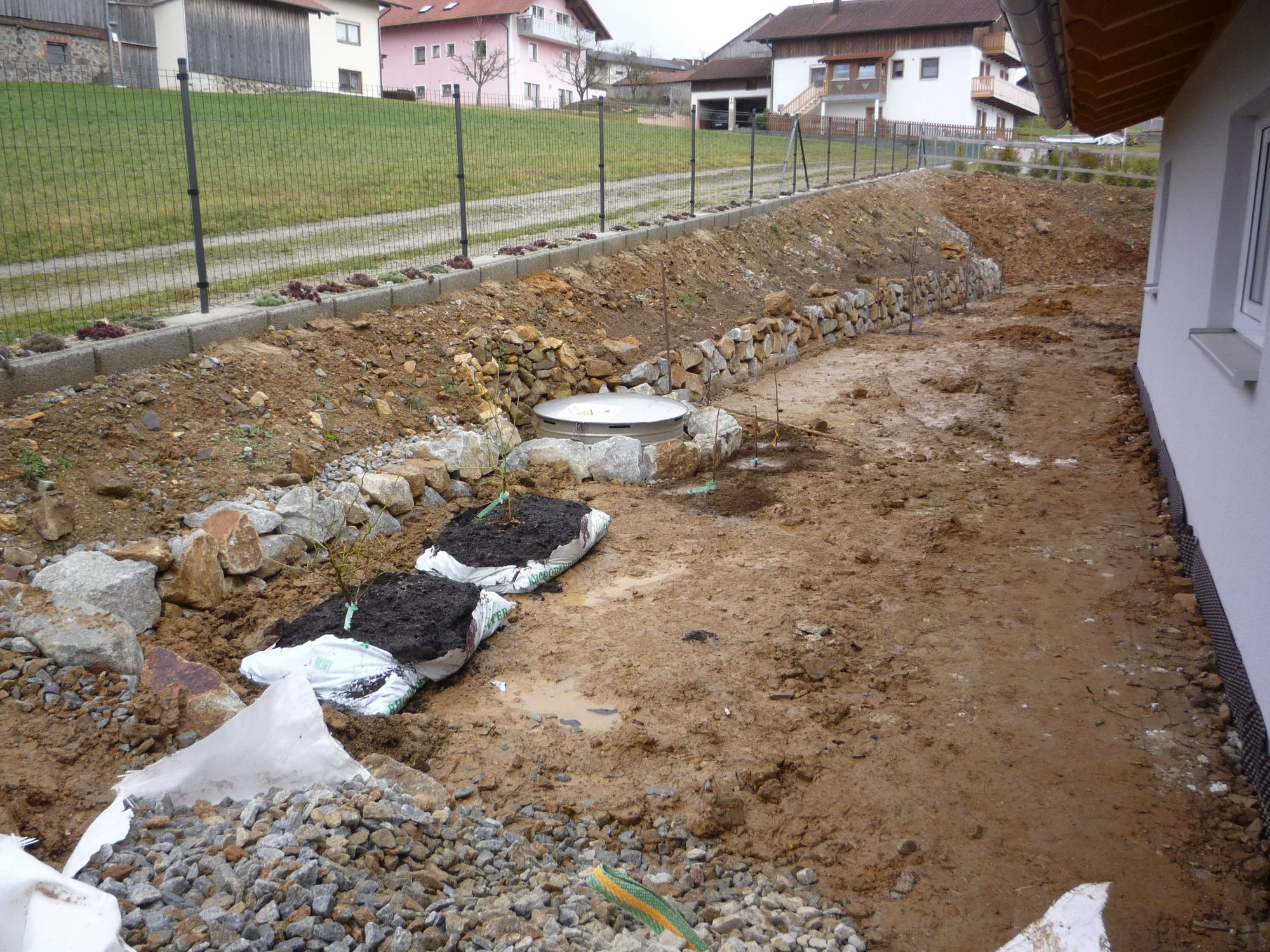 P1050853.webp