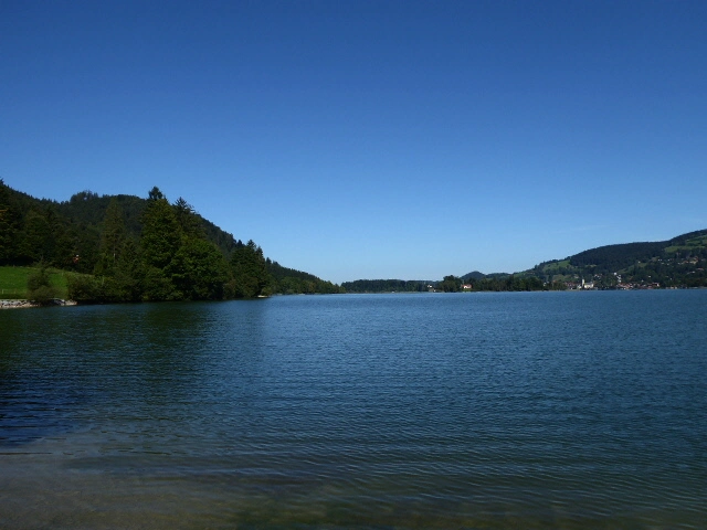 P1060628.webp